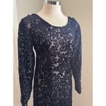 Vintage Caron Joy Sheer Velvet Burnout Dress Floral Long Sleeve Maxi Evening Black Size 12 Photo 3