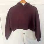 Forever 21  Burgundy Cropped Hoodie Photo 0