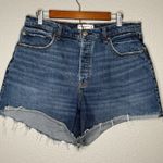 Abercrombie & Fitch Abercrombie Fitch The Dad Short High Rise Curve Love Womens 32 14 Button Fly Photo 0