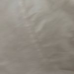 Playboy White  T-Shirt Photo 4