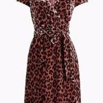 J.Crew Faux Wrap Velvet Rose Leopard Print Dress Size 2 XS Shabby Chic Photo 0