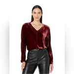 Eileen Fisher EILEEN FISHER Red Velvet Dolman Sleeve Blouse Boxy Top Silk Blend Velour New Photo 11
