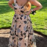 Macy's Prom Dresss Photo 0