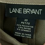 Lane Bryant Lane Bryants women dress  Tan Pants size 20 petite Photo 7