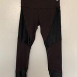 Koral  Leggings Brown Black Medium Ankle Length Photo 0