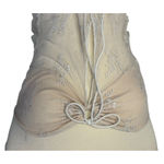 Tiger Mist Y2K  Karolina Cream Ivory Lace Strapless Crop Top Romantic Sexy Sz S Photo 3