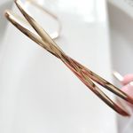 ZARA New!  Double Choker Necklace Photo 4