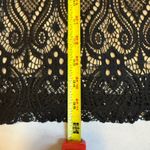 White House | Black Market Tacera Lace Overlay Sheath Dress Long Sleeve Lined Knee Length Womens Medium # Photo 12