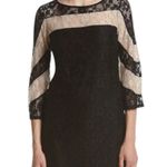 Gabby Skye  Women's Dress Size 8 Black Lace Bell Sleeve Party Wedding Church Photo 2