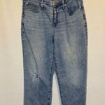 J.Crew Women's Relaxed BoyFriend Blue Jeans Size 31 Photo 0
