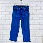 Universal Standard  Etta High Rise Straight Leg Jeans in Aged Indigo Wash Size 10 Photo 4