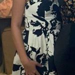 The Limited Cocktail Dress Photo 1