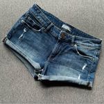 DL1961  Karlie Boyfriend Mini Short Size 26 Photo 0
