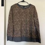 Splendid Women's Brown Leopard Print Crewneck Pullover Lightweight Sweater Top Photo 0