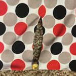 Calvin Klein blouse new with tags PL Photo 3