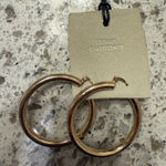 Urban Outfitters  Gold Hoop Earrings Photo 0