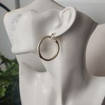 Gold Tube Medium Hoop Earrings Photo 1