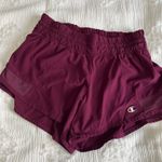 Champion  Shorts Photo 0