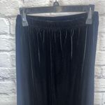 TR Bentley Women's NWT Black Velvet Whimsigoth Maxi Skirt Size Medium Photo 1