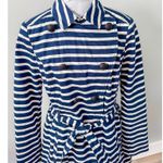 EXPRESS Striped Fit and Flare Trench Coat Photo 2