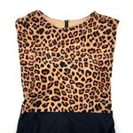 Summersalt The Surf Leopard Print Black One Piece Swimsuit Zip Up Back Size 4 Photo 1