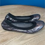 Stuart Weitzman  Embossed Leather Snakeskin Ballet Flats Metallic Silver Size 8.5 Photo 1