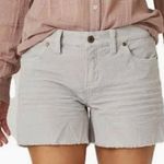 Carve Designs Oahu 4 Inch Corduroy Shorts Gray Size 12 NEW Photo 0