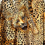 Vintage leopard silk and leather blouse. Gold Size 6 Photo 6