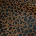 Aimee Kestenberg NWOT -  - Leopard Print Women's Bag Photo 2