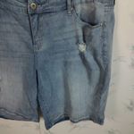 Torrid Denim Jean Shorts Photo 2