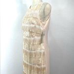 Eliza J Sequin and Fringe Blush Dress Size 8 Photo 3
