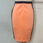 Calvin Klein  Sleeveless Colorblock Scuba Sheath Dress 4 Small Photo 8