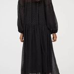 H&M  LONG BLACK POLKA DOT SHIMMERING PATTERN  CHIFFON WITH INNER DRESS SZ XL NWT Photo 1