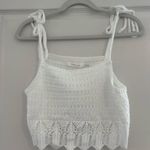 Mustard Seed  Top Photo 0