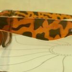 Ambassador Leopard Print Sunglasses Cat Eye Photo 3