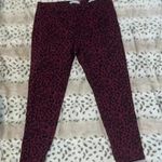 Social Standards by Sanctuary Jeans Size 16 Photo 0