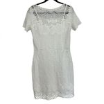 Ralph Lauren Lauren  Crochet Knit Mini Dress in White - Size S Photo 1