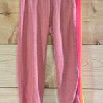 Aviator Nation  5 Stripe Sweatpants Photo 0