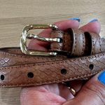 Banana Republic women’s snakeskin textured thin brown leather belt size medium Photo 0