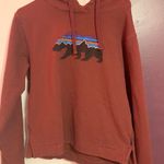 Patagonia Hoodie Photo 0