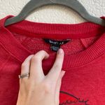 Disney NEW  X AE Fleece Crew Neck Sweatshirt Feisty Photo 7