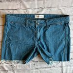 Habitual  Denim Jean Cutoffs Shorts Wash Little Darling Womens Size 31 Photo 0