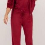 NY&Co. MP Bright Pink Velour Dreamy Straight Leg Pants Petite Size undefined Photo 0