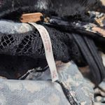 Free People  Lucie Mini Dress Photo 5