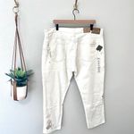 Ralph Lauren NWT POLO Avery Boyfriend Jean In Beaded Ivory Size 34 Photo 8