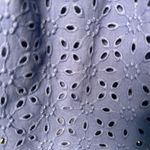 Who What Wear  Blue Eyelet Women's Dress (820) Photo 6