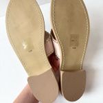 Jack Rogers  Dog Collection Poodle Embroidered Sandals Photo 5