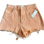 Abrand Jeans Urban Outfitters High Relaxed Frayed Hem Shorts in Peach Size 30‎ Pink Photo 0