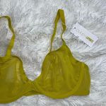 NWT Cuup X Lapointe The Plunge Mesh Chartreuse Bra size 36C Green Photo 0