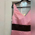 WTOO Watters & Watters In Bloom Pink & Brown Gown Dress Size 12 Cocktail Prom Photo 3